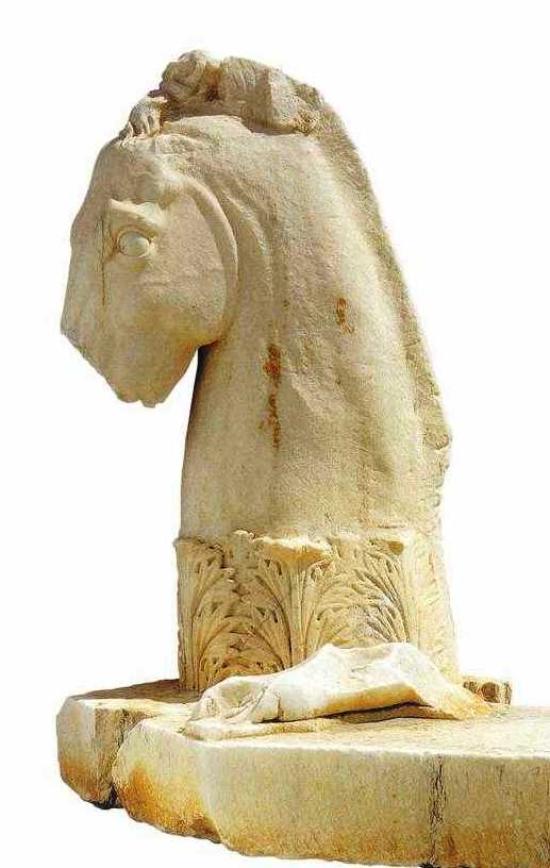 HORSE BUST - ROMAN